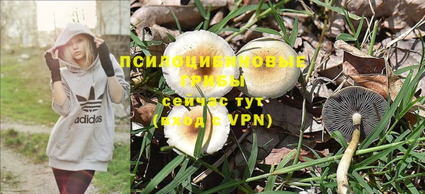 дживик Алексин