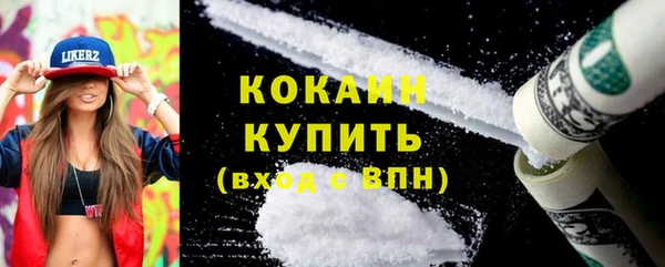 мдпв Карпинск